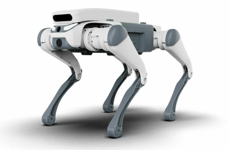 Primul oraș din România unde roboții fac ordine pe străzi