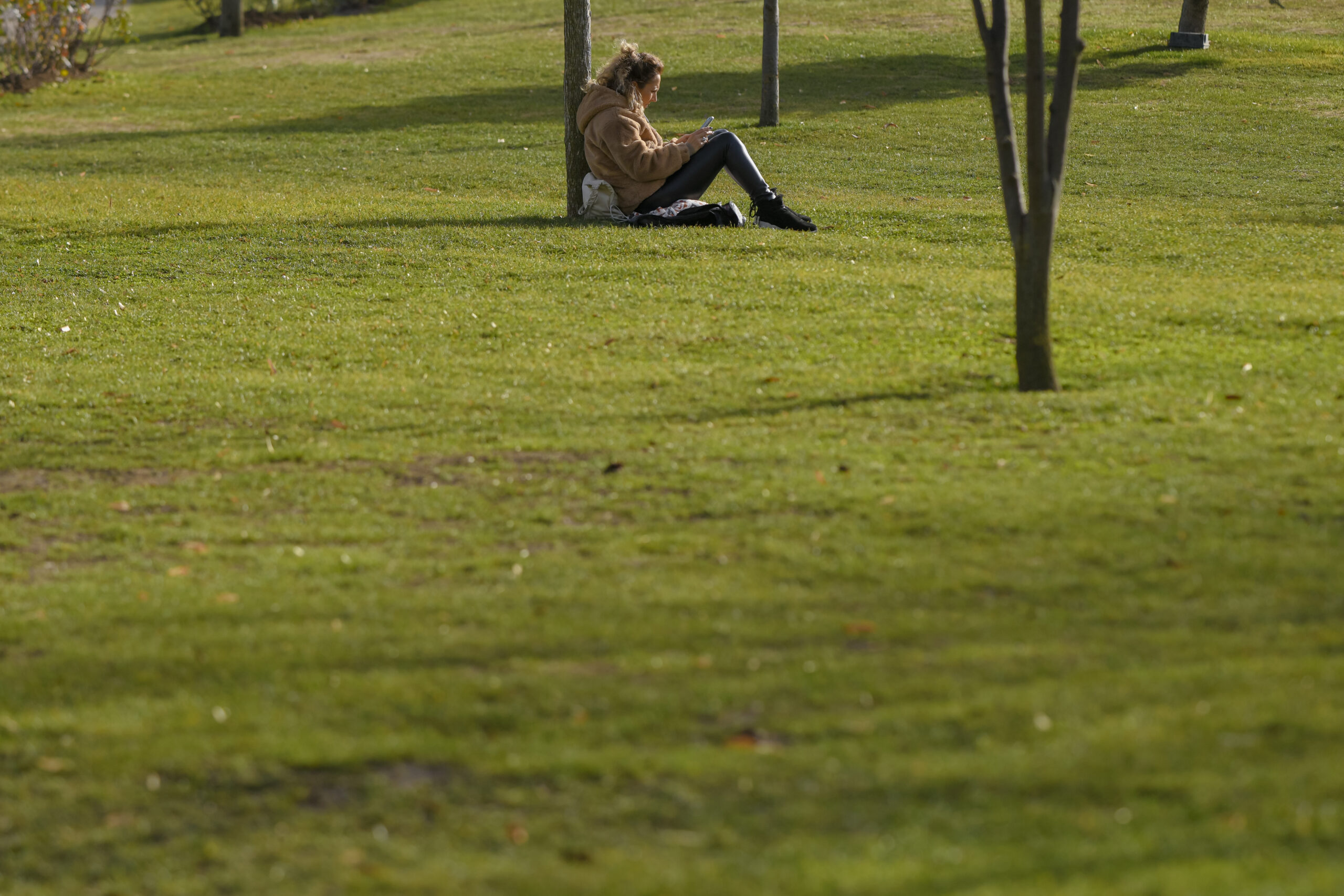 Prognoza meteo pentru Mărțișor – Temperaturile fac un salt spectaculos după frigul intens