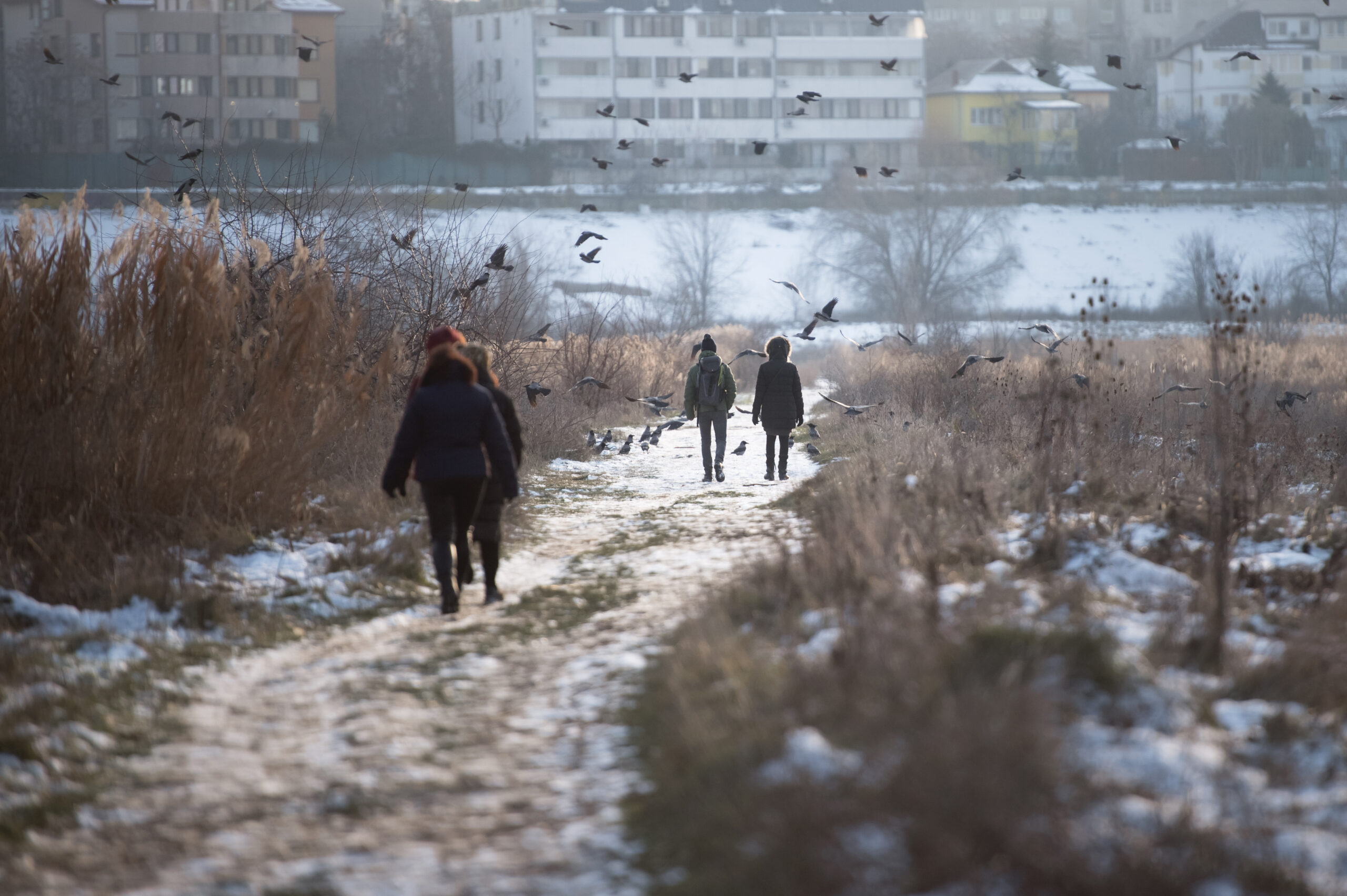 Prognoză meteo pentru următoarele patru săptămâni: Cum va fi vremea la începutul lunii martie