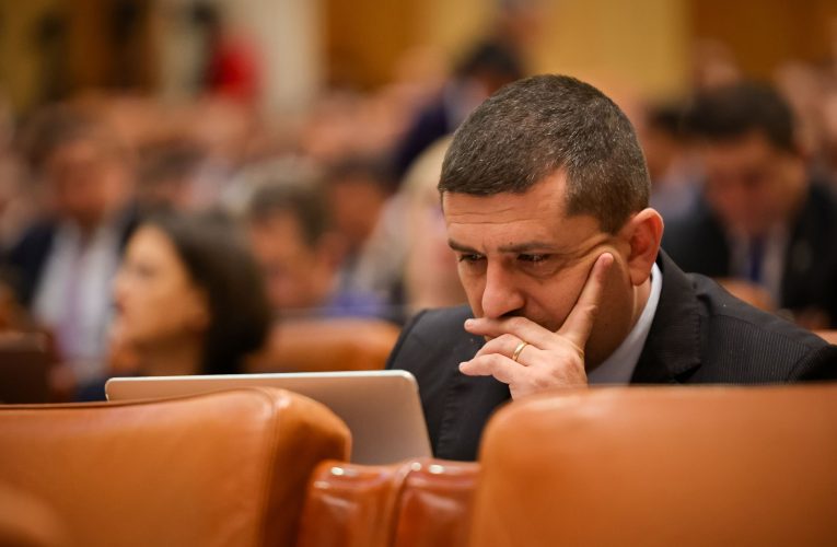 Radu Mirută: Zidul anti-drone este o utopie. Așa ceva nu există nici în Polonia, nici în țările nordice