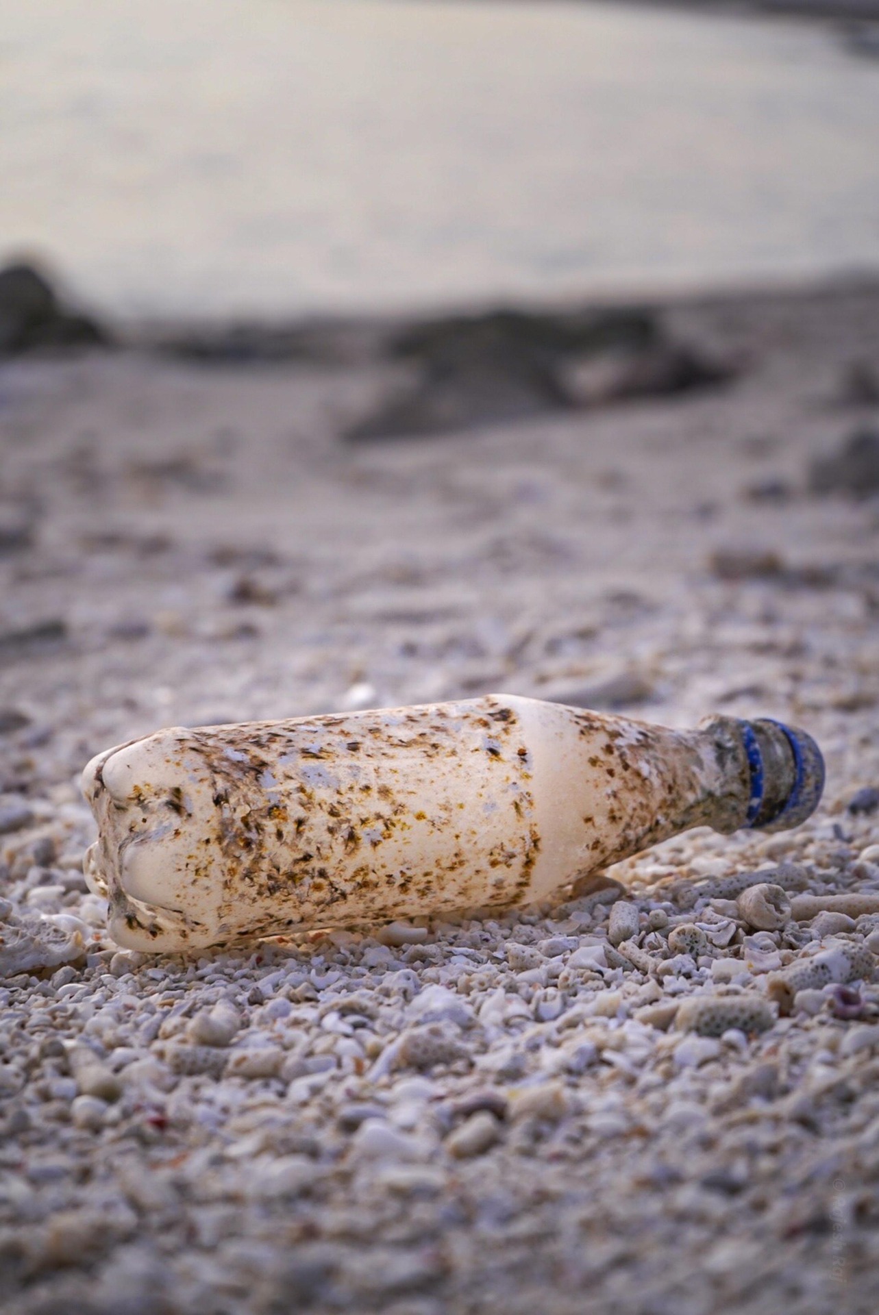 Regulă ciudată pe o insulă italiană: taxă de 500 de euro pentru sticlele de apă aduse de turiști