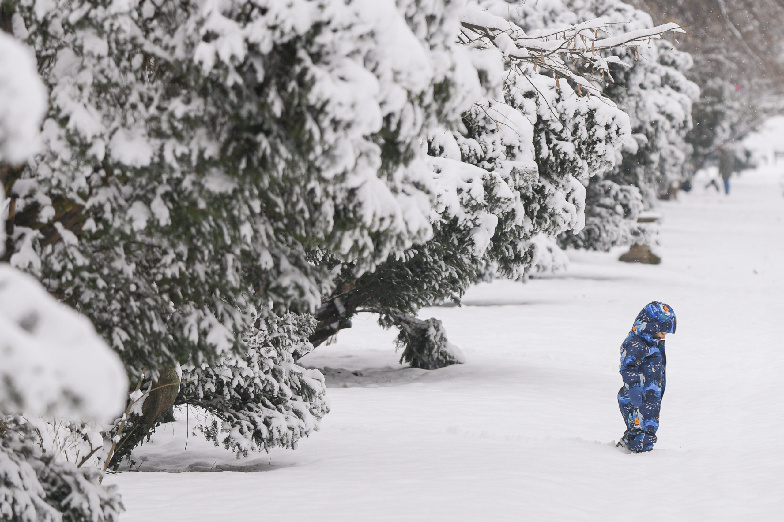 Școli închise din cauza viscolului: Galați, Vrancea și parțial Brăila trec în online