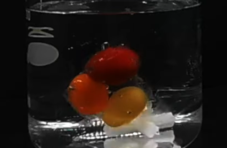 Speranță în lupta cu microplasticele: Un nou tip de plastic se dizolvă în apa de mare în doar o oră