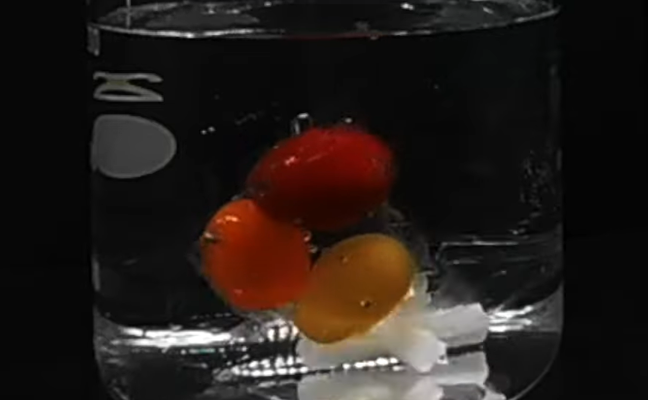 Speranță în lupta cu microplasticele: Un nou tip de plastic se dizolvă în apa de mare în doar o oră