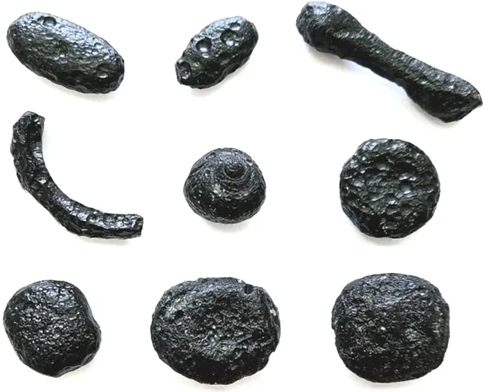 Un mister geologic dezvăluit: Urmele unui impact de acum 6,3 milioane de ani, descoperite în Brazilia