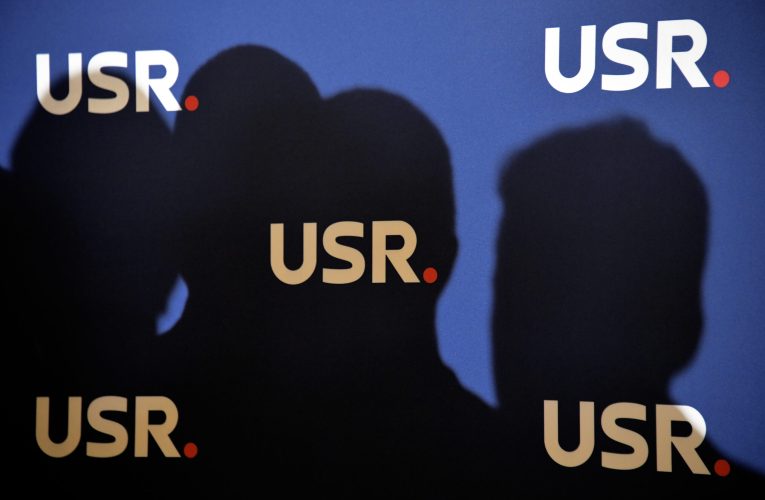 USR propune un termen de 3 zile pentru firmele care depășesc plafonul de TVA