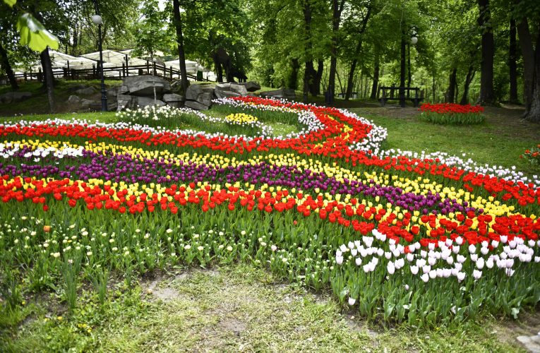 21 martie, Ziua Olteniei. Regiunea care a dat startul uneia dintre cele mai importante mișcări din istoria României