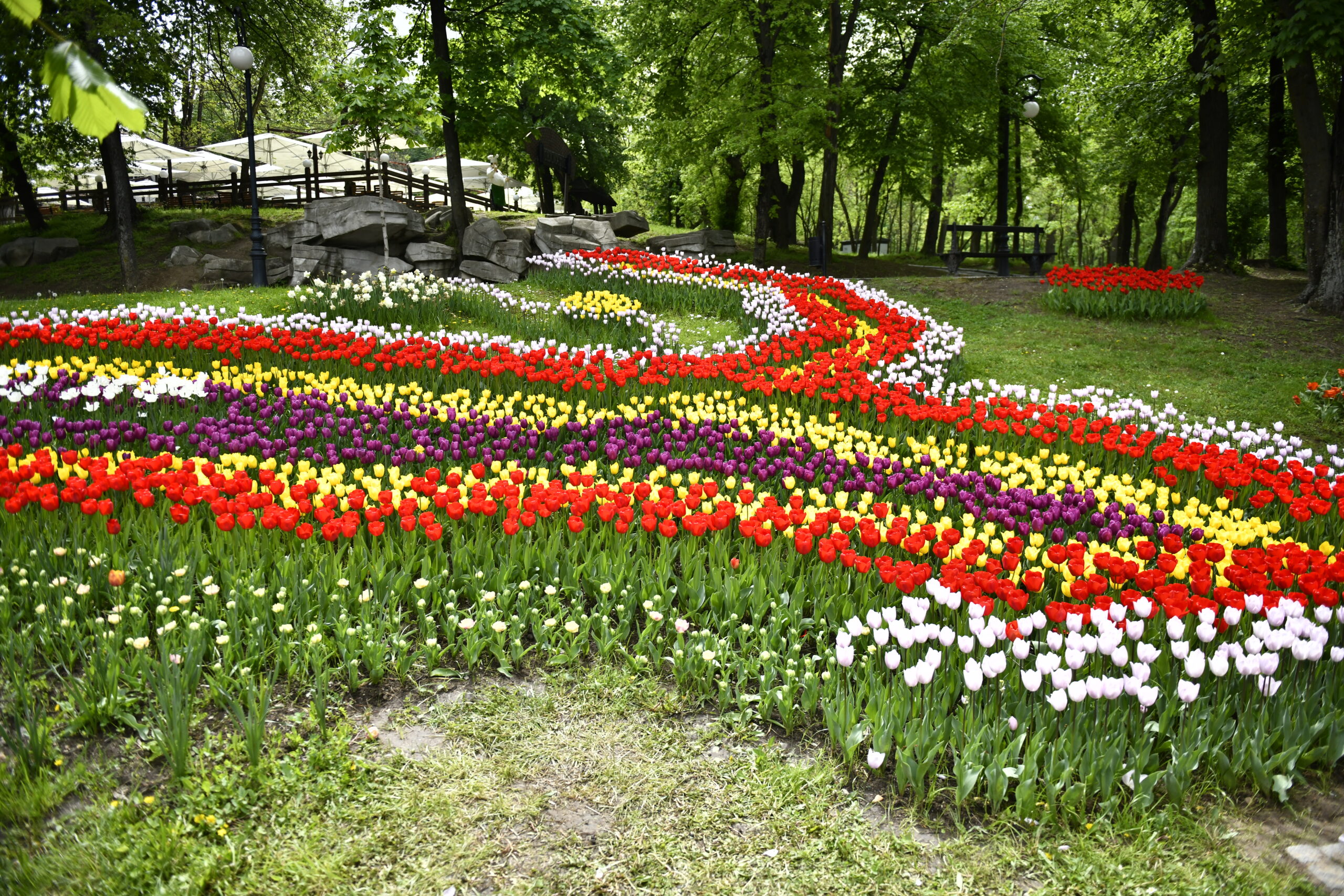 21 martie, Ziua Olteniei. Regiunea care a dat startul uneia dintre cele mai importante mișcări din istoria României