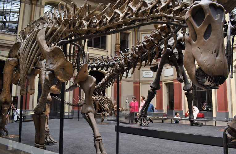 Apocalipsa uitată. Prima extincție în masă din istoria Pământului, ascunsă sub ochii noștri