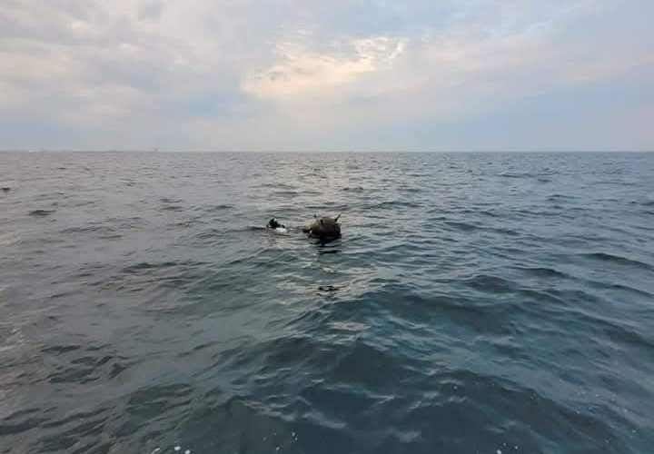 Contre între MApN și Ambasada Rusiei pe tema minelor în derivă din Marea Neagră