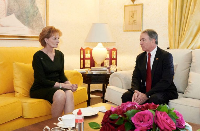 Custodele Coroanei Margareta l-a primit la Palatul Elisabeta pe noul ambasador al Statelor Unite