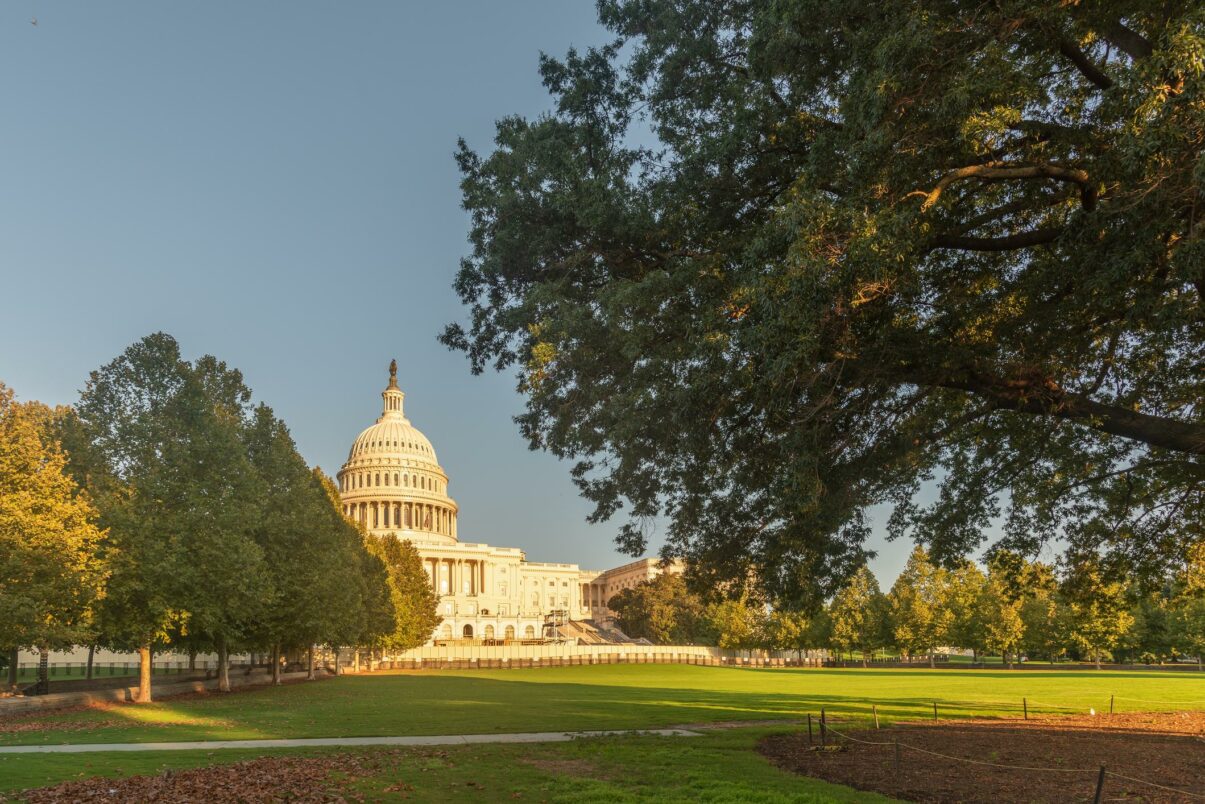 Democrații câștigă zeci de locuri în statele din SUA. Republicanii așteaptă banii de campanie pentru a întoarce trendul