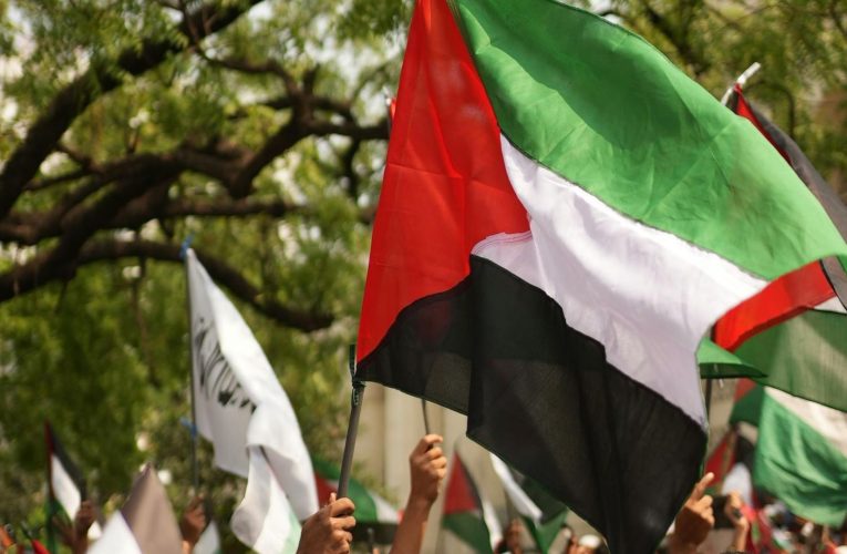 Demonstrație pro-Palestina duminică în București. Jandarmeria Capitalei anunță măsuri speciale de ordine publică în zona TNB