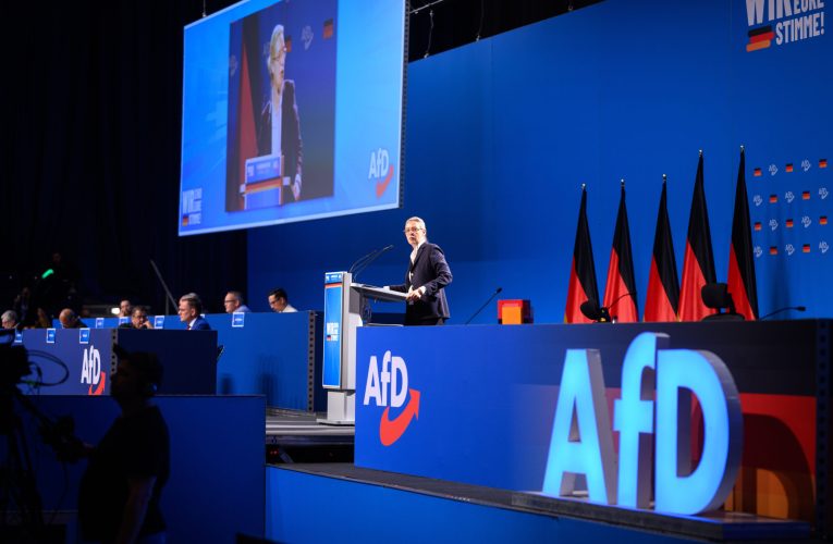 Diplomați UE avertizează că informații sensibile ar putea ajunge la Moscova prin partidul german AfD