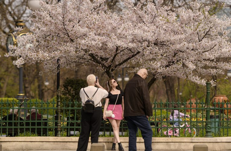 Echinocțiul de primăvară – 20 martie 2026: ce înseamnă, ce efecte are și ce superstiții există