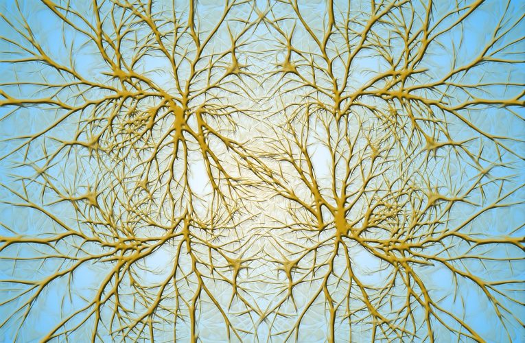 Exercițiile mentale sunt secretul protejării minții împotriva demenței