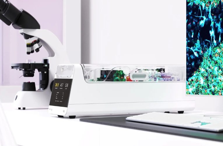 Experiment neobișnuit: Celule cerebrale umane crescute pe un cip au învățat să joace un joc video