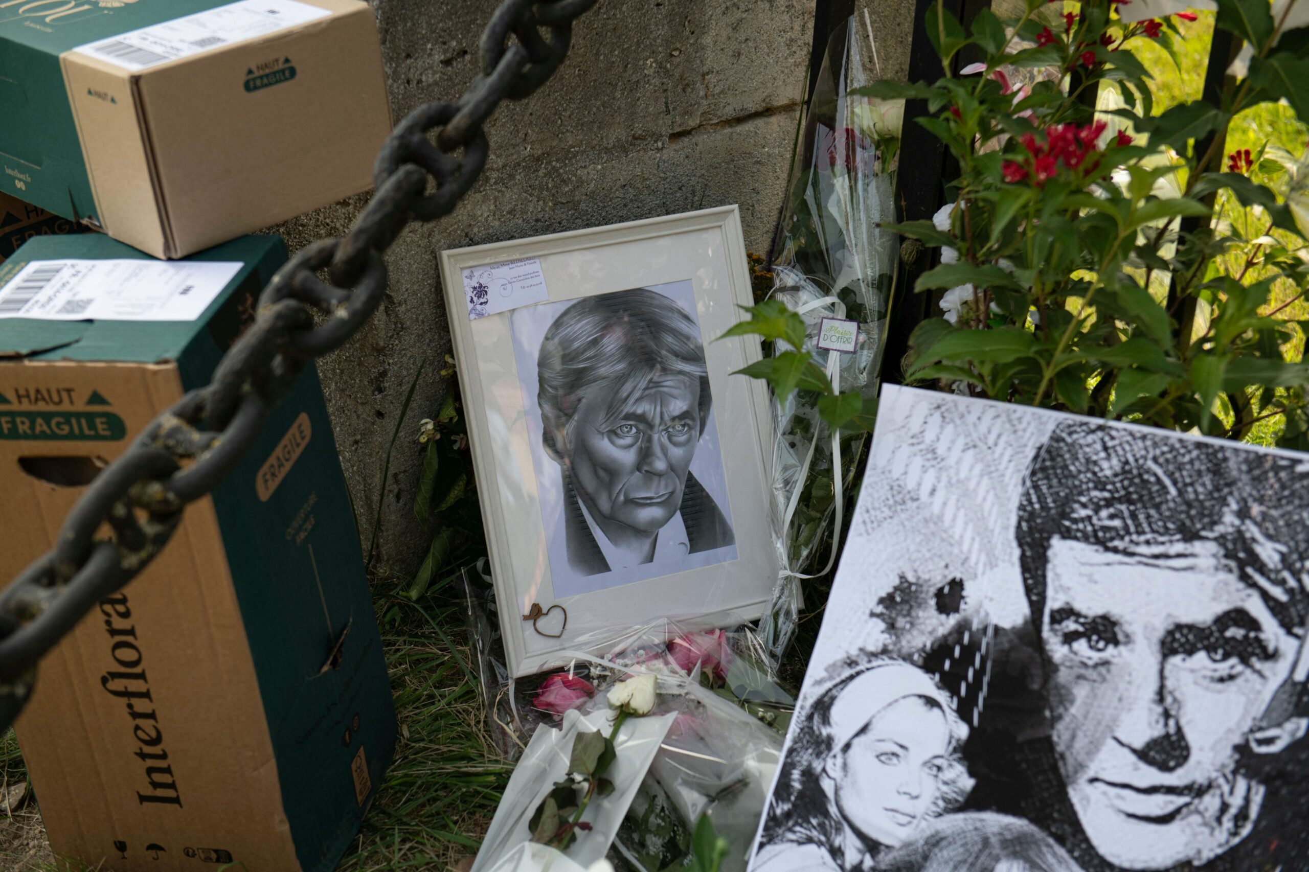 Fiul lui Alain Delon și-a retras contestația împotriva testamentului tatălui său