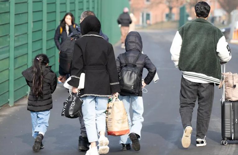 Germania, sub presiunea migrației: două treimi dintre solicitanții de azil din 2025 au venit fără documente. De unde au venit?