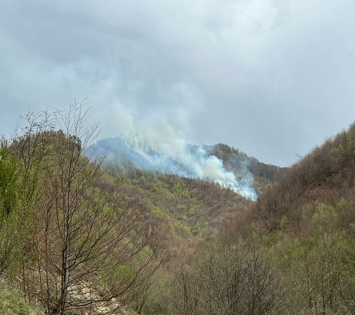 Incendiu de proporții în Maramureș: ard vegetație uscată și litieră