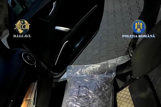 Kilograme de canabis ridicate de la 5 tineri din Vâlcea. Unul dintre el e acuzat și de proxenetism