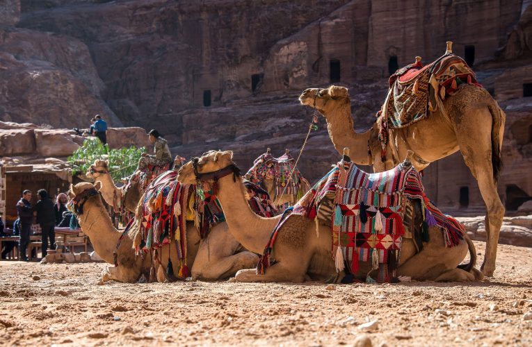 „Locul unde cămilele se tem să meargă”: 200 de schelete au fost descoperite într-un cimitir preistoric din deșertul Sahara