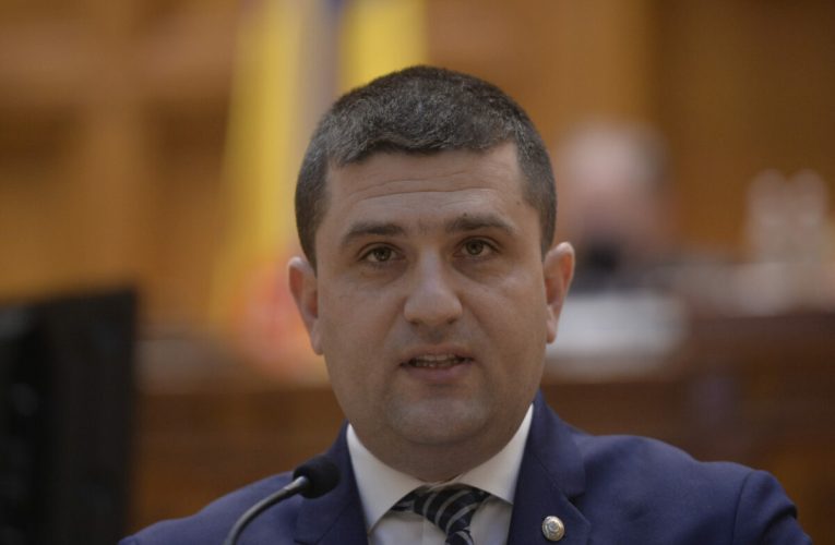 Ministrul Apărării, discuții despre cooperarea în domeniu cu ambasadorul SUA la București