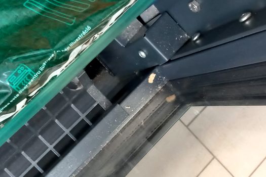 Mizerie de nedescris, mucegai și insecte în bucătării verificate de ANPC