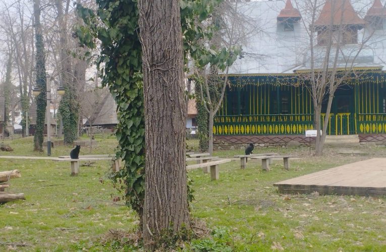 Muzeul Satului trece la orarul de vară. Ce program are de Paște și în ce zile este închis