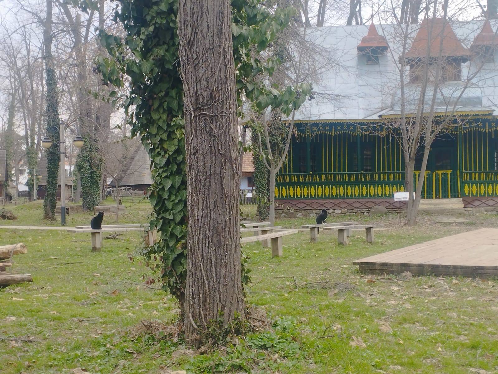 Muzeul Satului trece la orarul de vară. Ce program are de Paște și în ce zile este închis