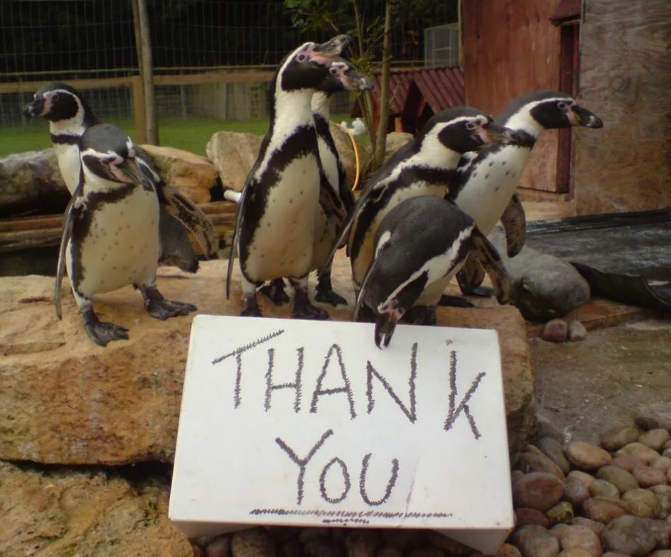 O celebră grădină zoologică se închide. Ce se va întâmpla cu animalele