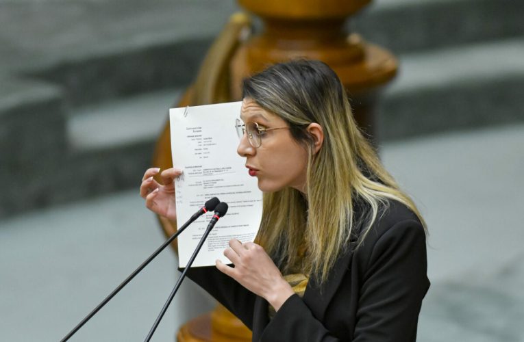 O nouă moțiune o vizează pe ministra Mediului: „Diana Buzoianu, comisarul roșu-verde al setei și întunericului”