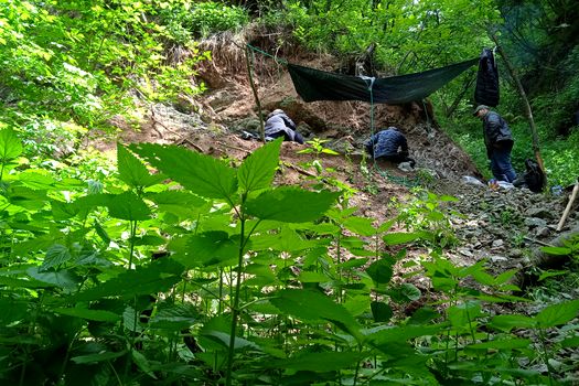 O nouă specie de dinozaur erbivor a fost descoperită în Geoparcul Internațional UNESCO Țara Hațegului