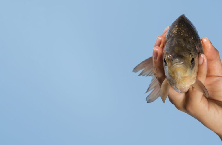 O singură zi îți poate dezvălui cât vei trăi. Ce au descoperit cercetătorii de la Stanford