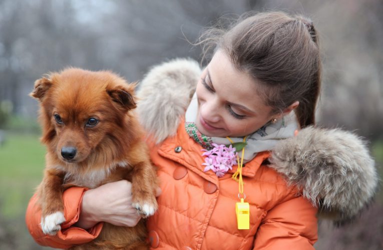 O țară din Europa recunoaște animalele bolnave ca motiv valid pentru concediu plătit de urgență