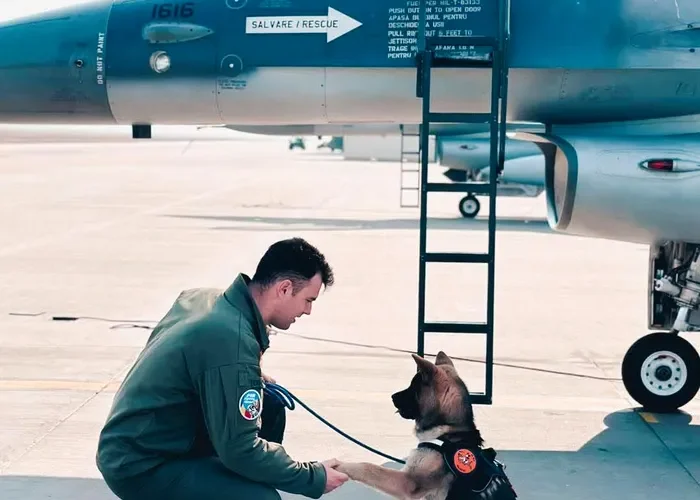 Tânăr căpitan pilot militar a murit în timp ce încerca să salveze un câine