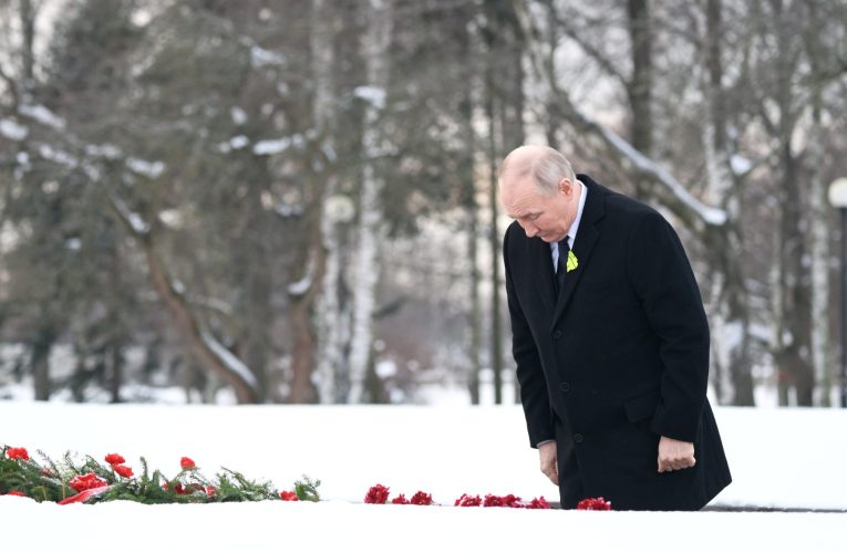 „Umbra” lui Putin, acum observator electoral în Ungaria