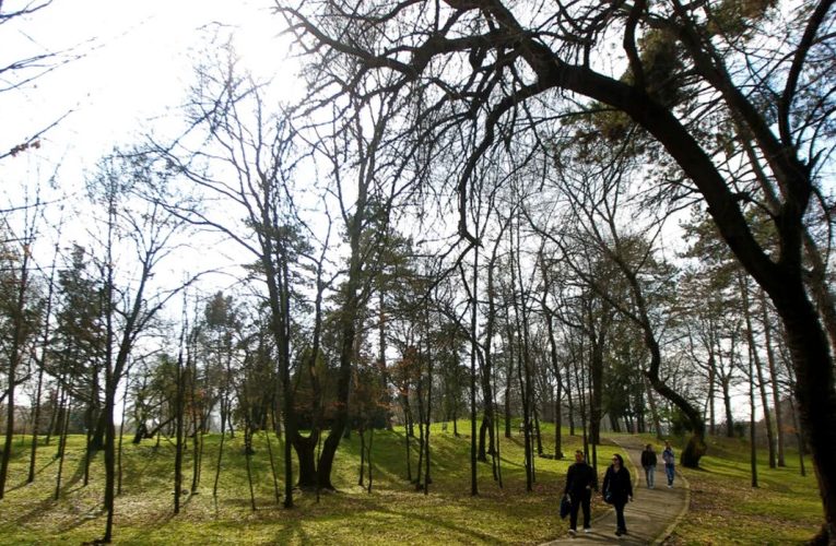 Vești bune de la ANM: Temperaturi mai mari decât cele specifice în luna martie