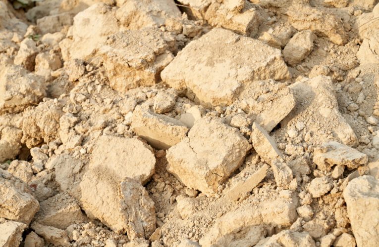 Când și cum a apărut viața complexă pe Pământ. Fosilele care au rezolvat un mister vechi de decenii