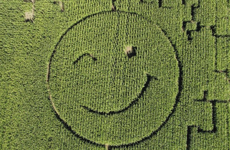 Care sunt cele mai politicoase țări din lume? Europa domină clasamentul global