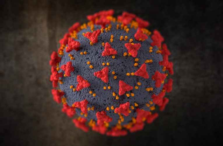 Cinci luni de filmări într-o peșteră au scos la iveală cât de aproape sunt oamenii de virusul Marburg