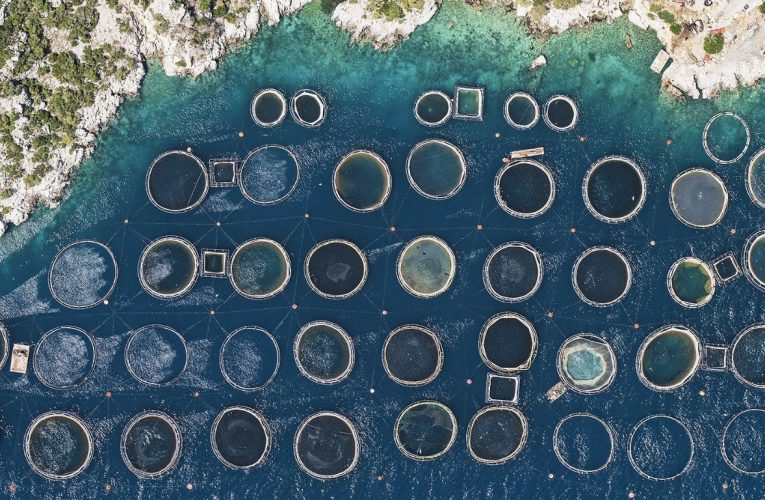 Criză ecologică în Grecia: deșeuri din ferme abandonate ajung în mare