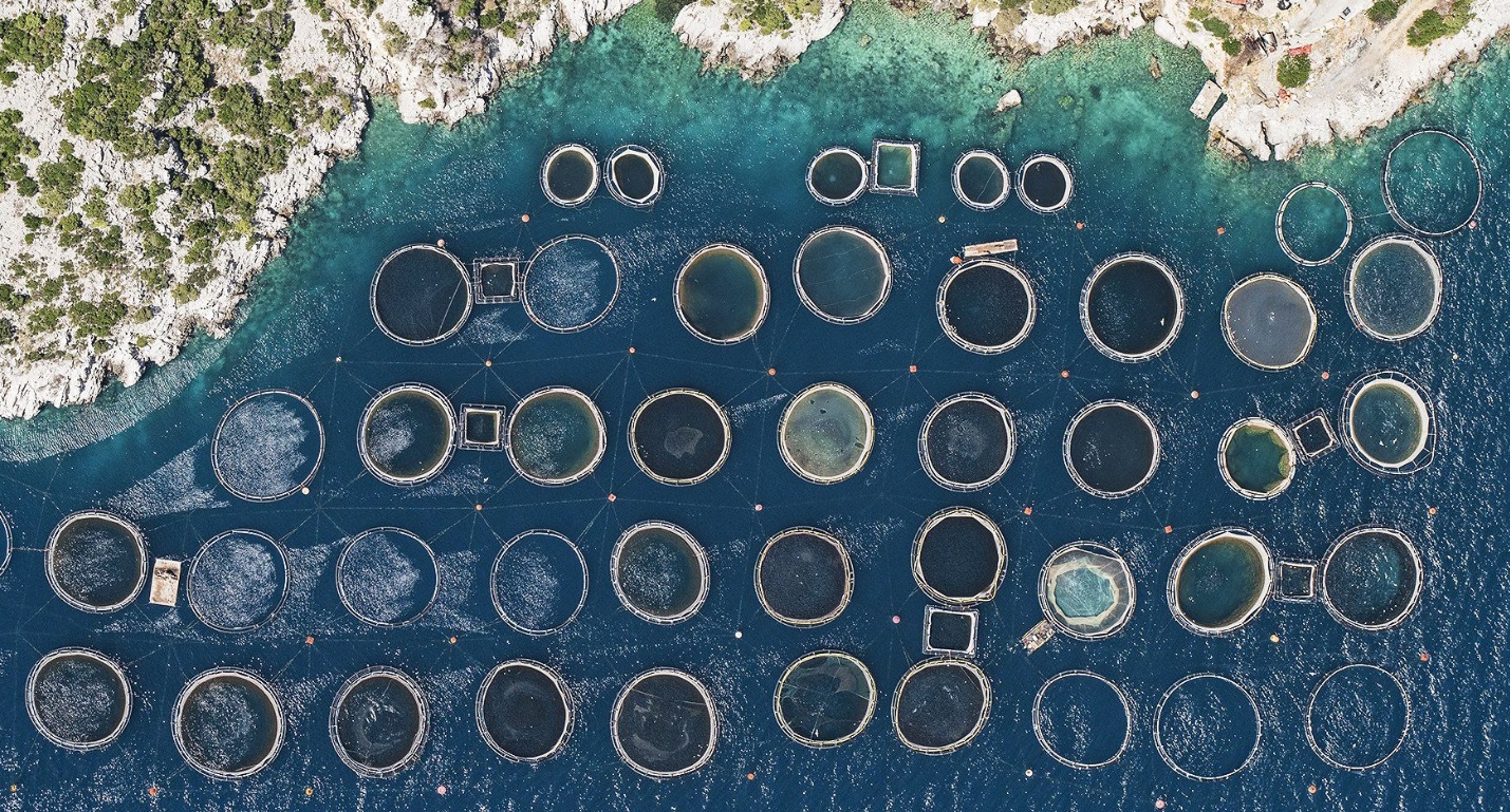 Criză ecologică în Grecia: deșeuri din ferme abandonate ajung în mare