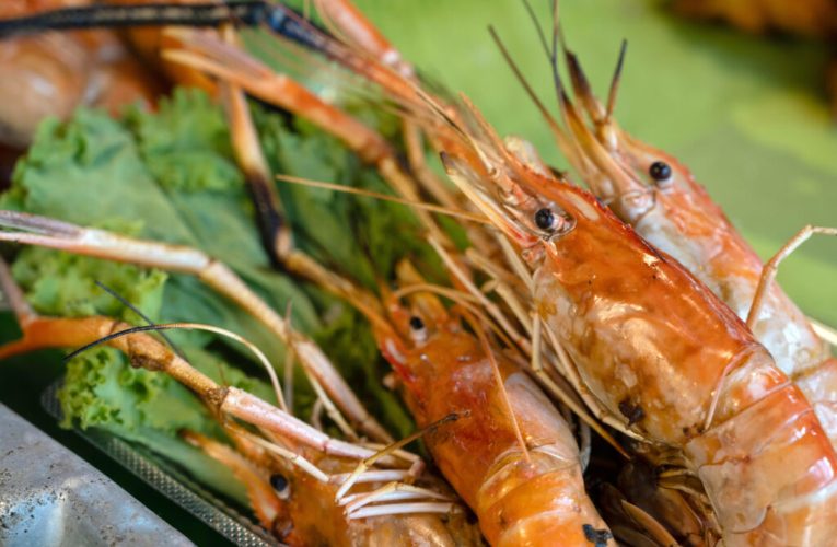 De la „deșeuri” la hrană: cum se transformă resturile din pește și fructe de mare într-o nouă oportunitate alimentară în Europa