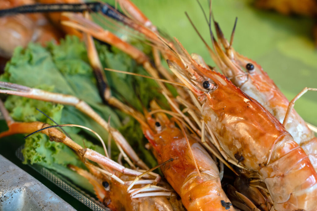 De la „deșeuri” la hrană: cum se transformă resturile din pește și fructe de mare într-o nouă oportunitate alimentară în Europa