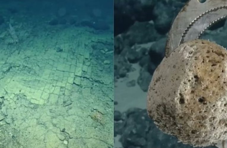 Descoperire uluitoare pe fundul Pacificului: Alee pavată cu dale galbene