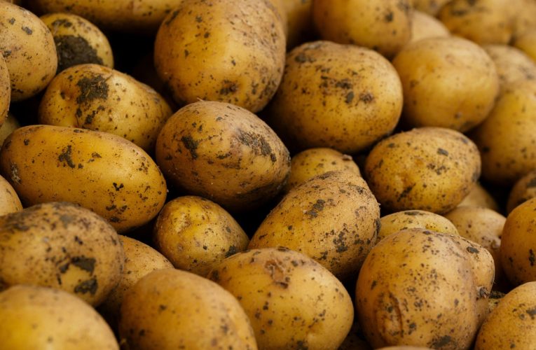 Fermierii asigură calitatea culturilor pentru producția de alimente nutritive printr-un management eficient al dăunătorilor