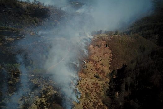 Incendiu de vegetație, întețit în județul Hunedoara din cauza vântului puternic. Pompierii intervin