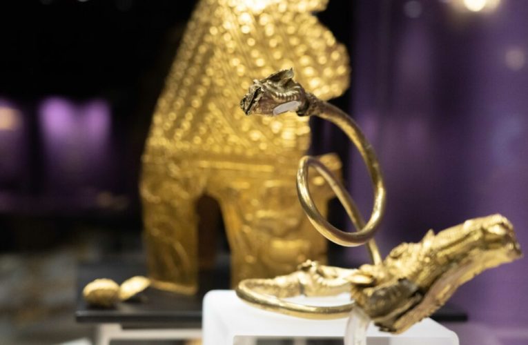 Jaful Tezaurului Dacic / Parchetul olandez cere pedepse de 5,5 ani de închisoare pentru autorii jafului / Mamei celui mai mic dintre tâlhari nu-i vine să creadă cu ce se ocupa fiul ei