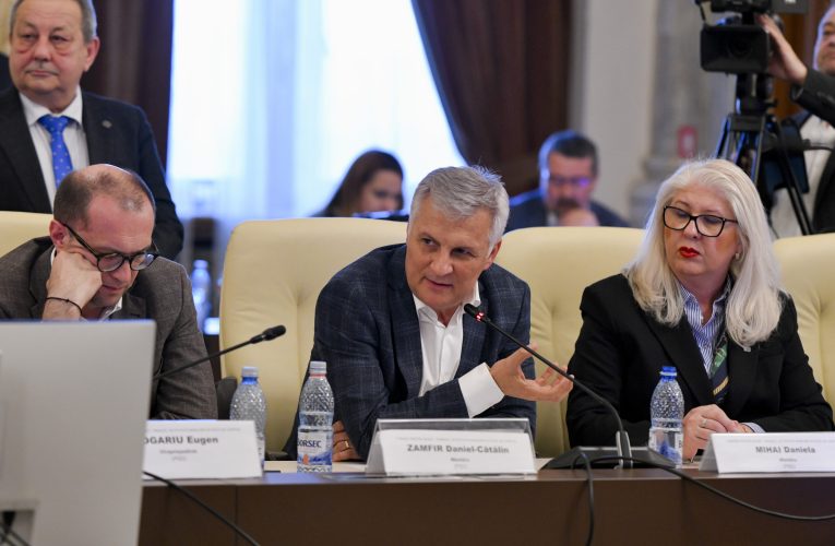 Liderul senatorilor PSD anunță o „ofensivă” în Senat pentru apărarea companiilor profitabile ale statului